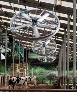 0.9m Heavy Duty Exhaust Fan for Poultry House Pig Barn Corrosion Resistant Aluminum Alloy OEM ODM Customizable 3 Year Warranty