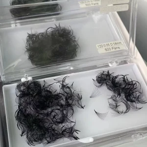 1000 Fans 2D 3d 4d 5d 6d 8D 10D 20D Bulk Premade Fans Korean Loose Pre Made Lash Fans