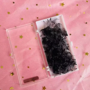1000 Premade Fan C D CC DD Curl Handmade Korean PBT Fiber Eyelash Extensions Loose Mega Volume 0.07mm 0.10mm Fan Synthetic Hair