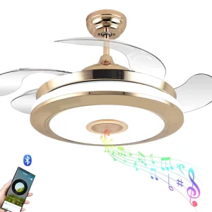 110/220V Control Simple Ceiling Fan with LED Light Multi Function Light Fan Ceiling Fan
