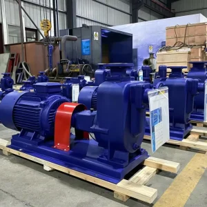 1100m3/h 2000m3/h 3000m3/h Large Capacity Water Submersible Axial Flow Pump Mixed Flow Centrifugal Pump