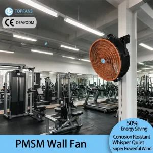 110V 220V 380V Rust-proof Plastic Wall Mounted Fan with Remote Control BLDC for Gym Humid Industrial Plants