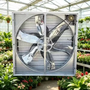 1380×1380 mm Exhaust Fan 50” Push Pull Type Box Fan Exhaust Fan for Industrial Plant Greenhouse Poultry Chicken Farm