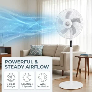 16 Inch High Speed AC Stand Fan with Switch High Quality Mechanical Pedestal Fan Free Sample Manufacturer