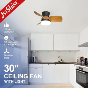 1stshine 30 Inch Small High Speed Low Noise Dc Motor Remote Control Flush Mounted Ceiling Fan with Light