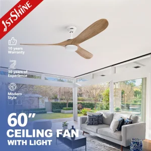 1stshine Led Ceiling Fan Design Decorative 3 Blade Remote Control Dimmable Bldc Led Ceiling Fan Light
