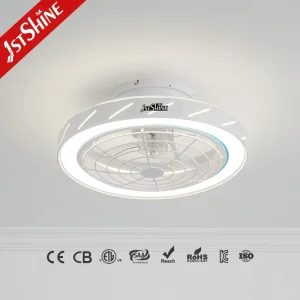1stshine White Ceiling Fan 20 Inches White Low Voltage Energy Saving Quiet Ceiling Fan with Lamp
