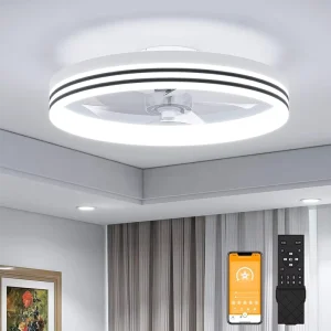 20 Inch Modern Smart LED Ceiling Fan Light 5 Blades Motor Iron Remote Control Dimmable Hugger Ceiling 6 Speed 220V