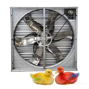 220/380V Large-sized Push-pull Exhaust Wall Mounted Ventilation Fan for Industrial Poultry Farms