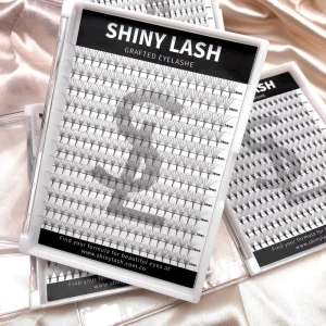 240fans Mega Volume Premade Fans Eyelash Extensions Heat Bonded Volume Promade Lash Fans XL Tray 16d Premade Lashes
