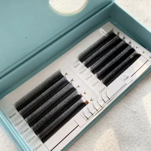 3D Vision Fluffy Camellia Eyelash Premade Fans Wispy Volume Eyelash Extension LD LC Double-layer Individual Lash