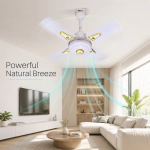 4 Blades Metal Ceiling Fan 5 Speed Control Low Noise Ball Bearing Motor Small Ceiling Fan for Bedroom Dormitory Restaurant Home