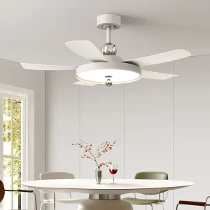 42 Inch DC Motor 5 Blades 6-Speed Modern LED Smart Low Profile Ceiling Fan Lamp Remote Control Living Room