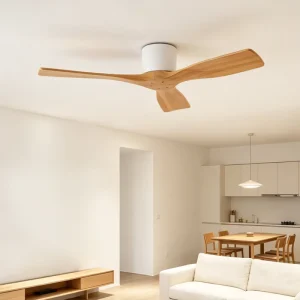 48 Inch DC Ceiling Fan With without Light and Remote Low Profile Tuya Smart Energy Efficient ODM Australia SAA Approved