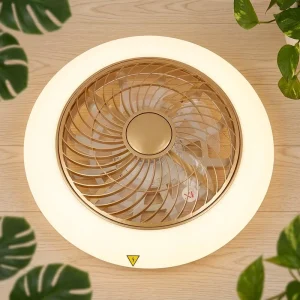 5 Blades 6 Speeds Fan LED Ceiling Fans Light for Dinning Room Resturtant Hotel Remote Control AC Ceiling Fan Ceiling Fan Lamp