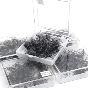 500 Fans Loose Premade Fans Lashes Easy to Use High Quality Eyelashes Extensions Lash 12D Pre Made Fans Lash in Stock