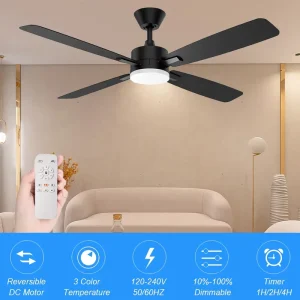52 Inch Modern LED Ceiling Fan with Remote Control and Project Installation Service