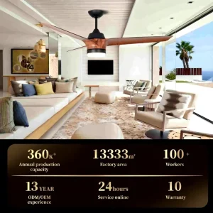 52 Inch Quiet Operation Decorative Remote Control Durable Material Ceiling Fan with Light