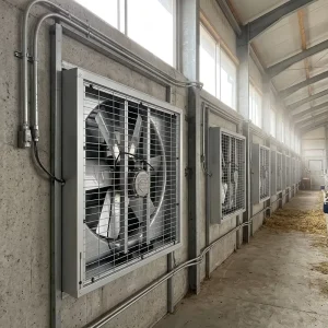 55 Inch Direct-driven High Air Volume Powerful Large Fan Industrial Axial Fan