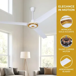 56 Inch DC Ceiling Fan Decoration OEM ODM Energy Saving Modern Electric Fan for Office