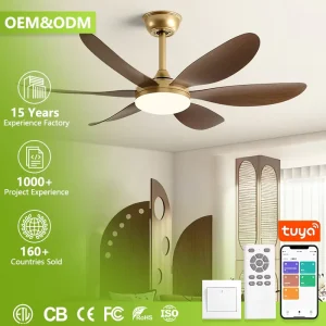 6 Blade ABS Wood Grain Ceiling Fan with Light Silent 36 Inch 42 Inch DC Motor Modern Decorative Fan Lamp for Living Room