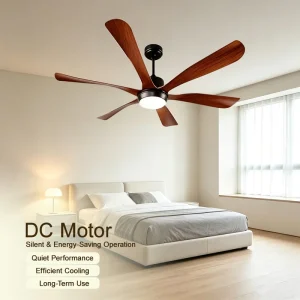60 Inch 5 ABS Blades Modern Black Ceiling Fan with LED Light BLDC Motor Remote Control 3 Color Light Household Hotel Use