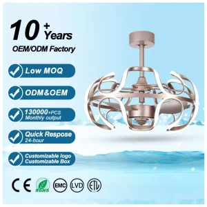 746A 110/220v Round Remote Control Ceiling Fans Lights DC Lamp Decorative Bladeless Home Led Designer Tricolor