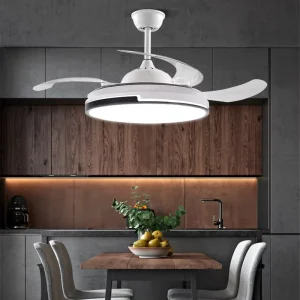 90W Bedroom Living Room Ceiling Fan With LED Light 220V Electric Ceiling Fan With Light and Remote