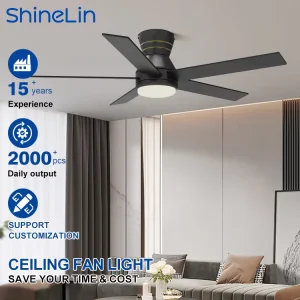 Accept OEM ODM Modern Indoor Living Room 52 Inch DC Motor Remote Control Stepless Dimming Smart Led Ceiling Fan Light