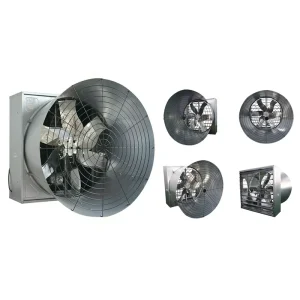 Advanced Structure Exhaust Fan Enhances Ventilation Efficiency for Industrial Use