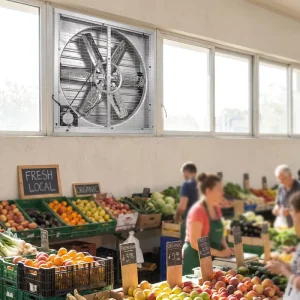 Anti Corrosion 54in Belt Driven Exhaust Fan Stainless Steel Negative Pressure Ventilator for Farm Market Fresh Bazaar