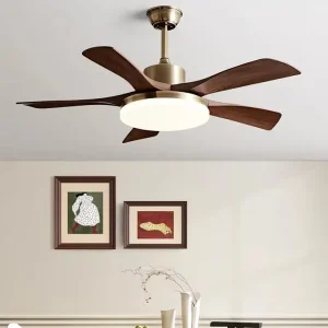 Atmospheric Modern Style LED Ceiling Fan Lamp for Living Room Dining Room Pendant Home Remote Control Dimmable