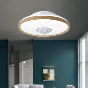Bladeless LED Ceiling Fan Smart Remote Control Air Purifier for Bedroom Cold and Warm Color Light Leafless Fan