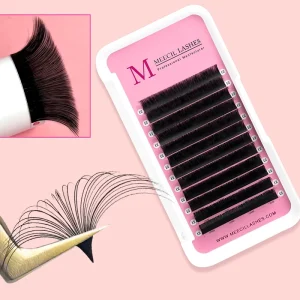 Bloom Lash Silk Easy Fanning Eyelash Extensions Lash Trays