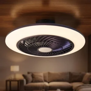 Boding Modern AC Motor Ceiling Fan with LED Light Remote Control for Living Room Restaurant