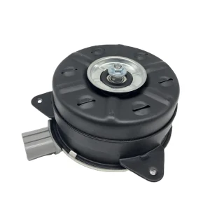 Car Auto Radiator Cooling Fan for Car High Quality 12V 11U OEM 168000 7170