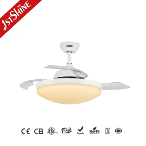 Ceiling Fan Light 42 Inch 110 240v DC Motor Invisible LED Ceiling Fan with Remote Control