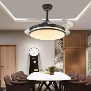 Ceiling Fan with LED Light and Remote Adjustable Speeds Brightness Fans Ceiling Light for Bedroom Kitchen Living Room