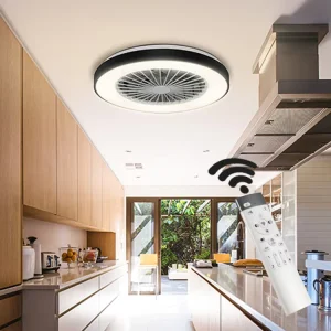 Ceiling Fan with Lamp 40W and 6 Wind Gears Modern Style 110 240V Remote Control for Living Room