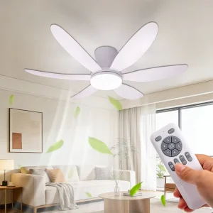 Ceiling Fan with Light 6 Blade Remote Control Dimmable LED Ceiling Fan Light DC Motor Quiet 3 Color EU Stock Fast Shipping