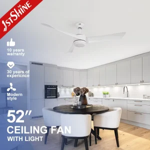 Ceiling Fan with Light Design Plastic Blades Decorative Ceiling Fan with LED Lighting