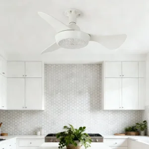 Ceiling Fan with Light for Dining Room 25inch Ceiling Fans Modern 30W Price 3 Baldes Apartment Ceiling Fan with Light Home