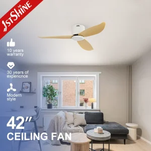 Ceiling Fan with Remote Control 6 Speeds Dc Motor Lower Noise Flush Mount Ceiling Fan with Alexa Compatible