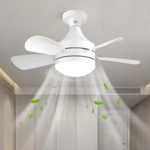 Ceiling Fans with Lights and Remote Ceiling Fan Flush Mount Modern Smart Blade LED Fan Light