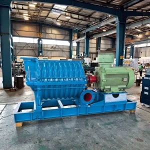 Centrifugal Flotation Fan C270 1.55 C260 1.32 Multistage Centrifugal Blower