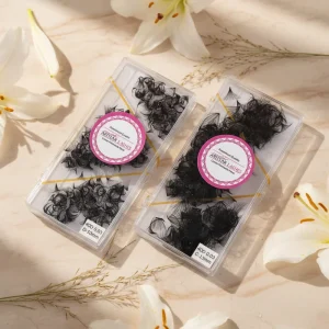 Custom 0.03 Cashmere Long Stem Premade Volume Fan Eyelash Extension 500 Fans 30D 40D Loose Promade Fans Lash Extension