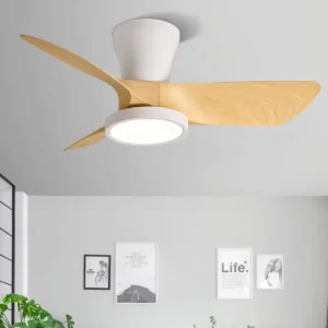Customizable 30 Inch Modern LED Ceiling Fan Light with ABS Blades Motor Remote Control Dimmer Custom Housing Color