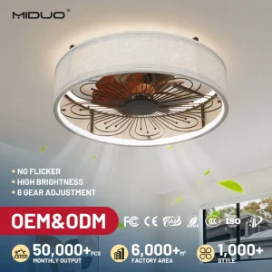 Customization Silent Modern LED Remote Control Smart DC Motor Dimmable Energy Saving Ceiling Fan Light for Living Room Bedroom