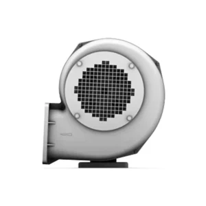 D 60 Three Phase Current 50 Hz Cooling Fans Centrifugal Fans Radial Low Pressure Blowers