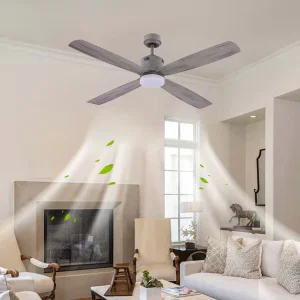 DC Ceiling Fan With Light